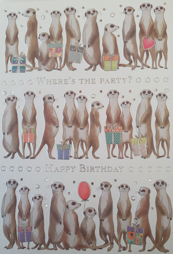 Kinderfeestje